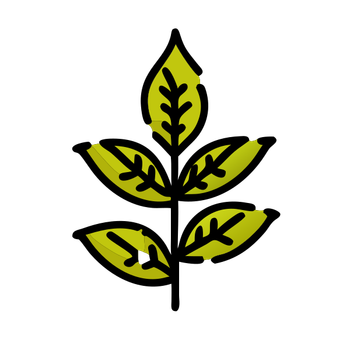 1 (1897).png